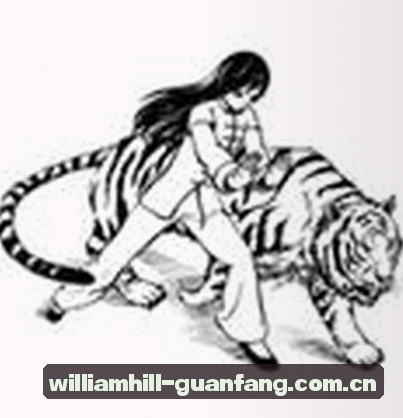 郑先生